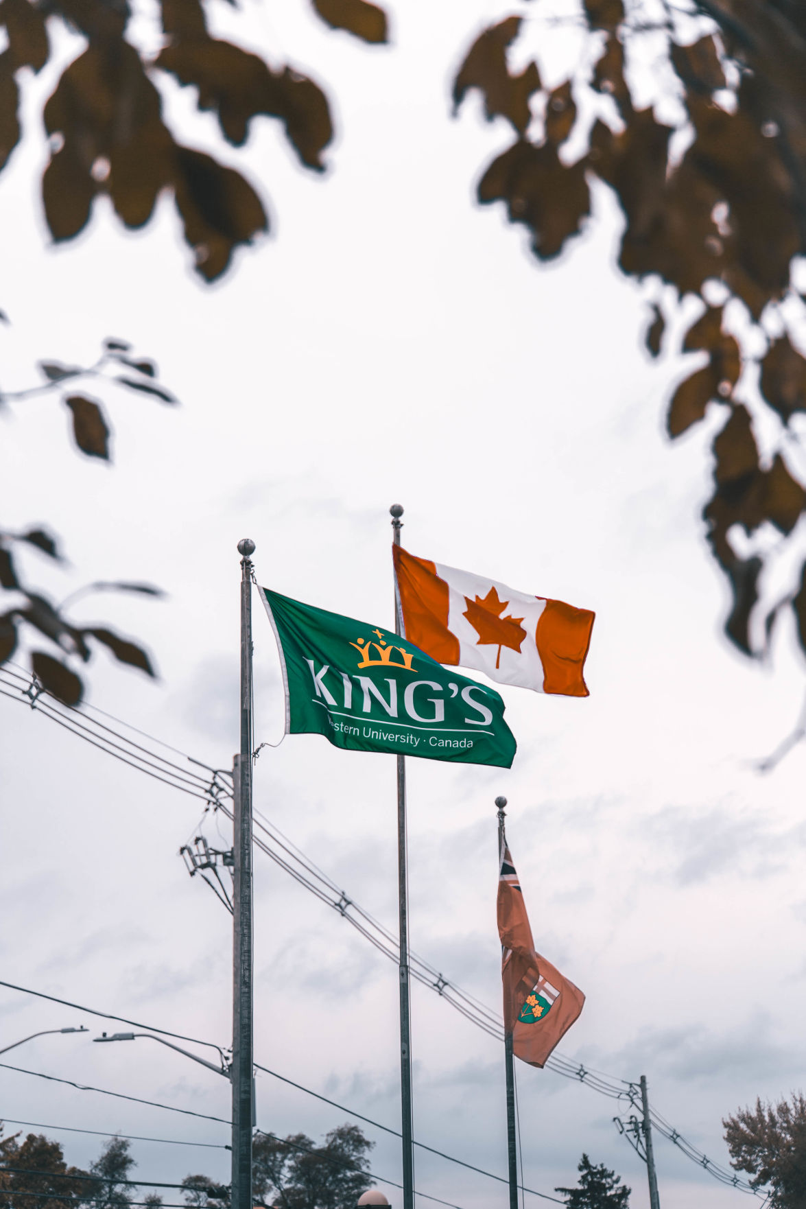 King' University College (Photo 2)